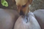 Zoo Sex Name