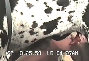 This animal with spots gets totally facefucked hard