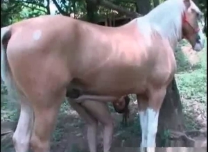 Extreme sex with a hung horse