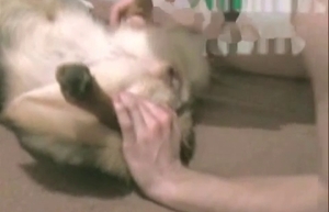 Romantic love-making with his own dog